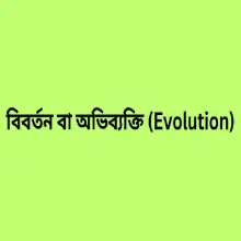 বিবর্তন বা অভিব্যক্তি (Evolution)